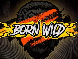 Born Wild thumbnail